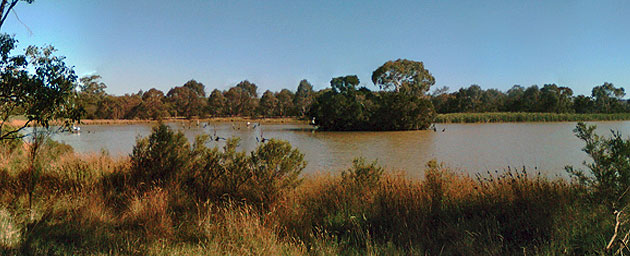 Department of Environment, Land, Water, and Planning, VIC, Australia